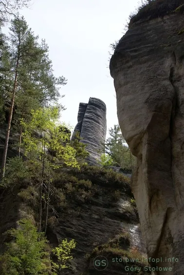 Adrszpaskie Skały- Dywany