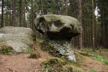 Skalne Grzyby
