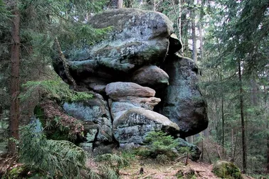 Skalne Grzyby