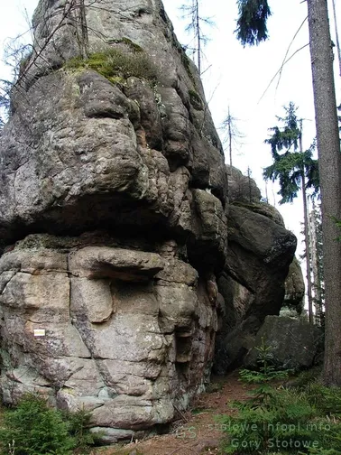 Skalne Grzyby