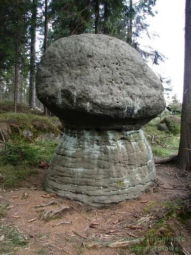 Skalne Grzyby