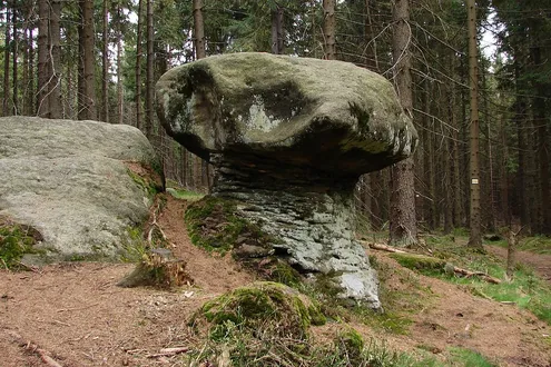 Skalne Grzyby